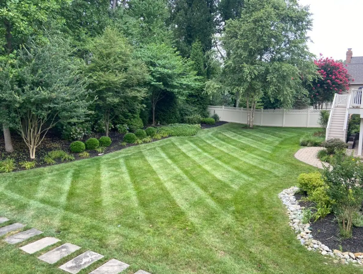 Lawn aeration and overseeding in Annapolis MD