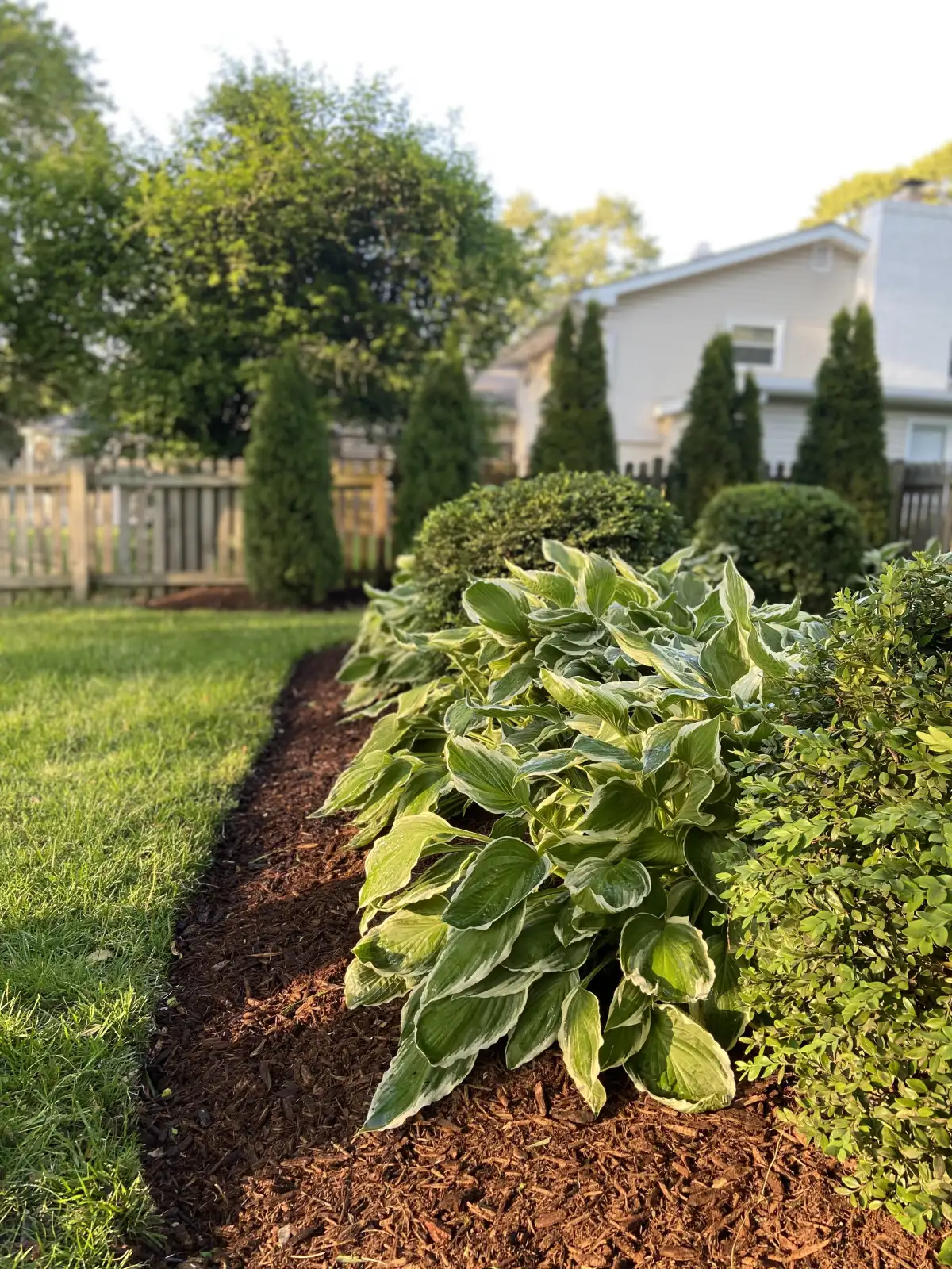 Mulched landscape beds with defined edges