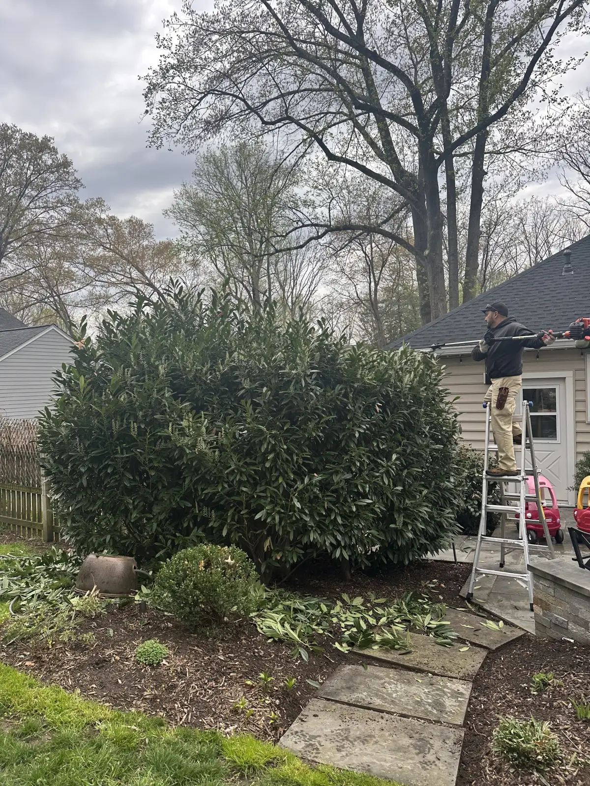 Pruning and garden bed work during spring cleanup